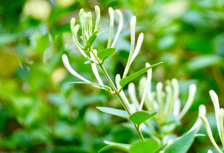 1680421360907778.png 6cjsx4pdw5htooihzdens1j02884qg7igs62q20ehhbtk3qu44qmar8qcbjh91y920ljidw1zi0oqzfs.png