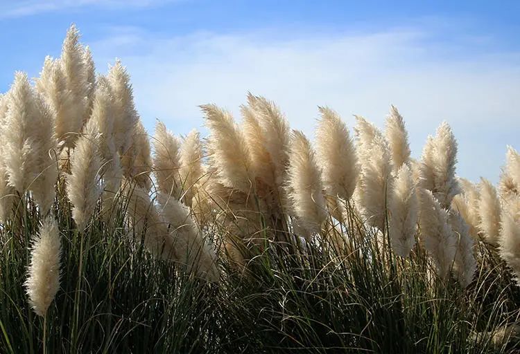 1680421381895449.jpg qc6yn133550yjvdhurogcqiag9nwf3k2v27ehdgs9gqu1lviuxgsa1h3rgazfi999w9c6punv49lofsx.jpg