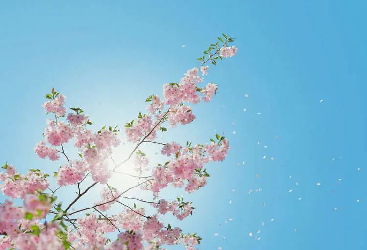 1680421424997421.jpg yi7wf994hdc98h0i2xlj616a9ydlbhod6wx0dy94f3wwptp81pxctnrqpejlwolo4rauso8v2rxiusrq.jpg