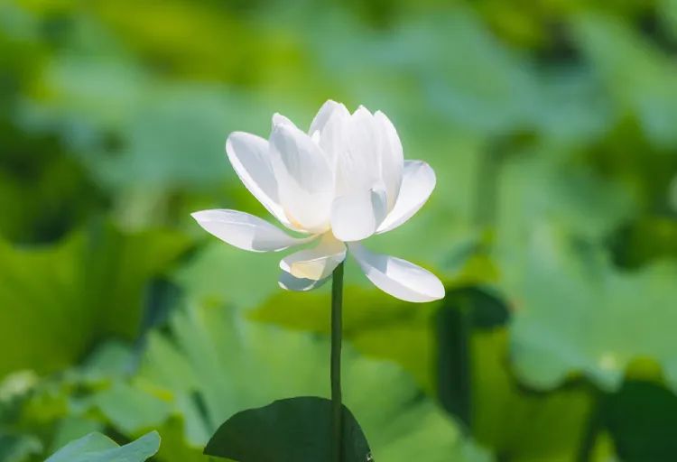 1680421442814883.jpg 9flrt6e9owu7k00pjs7hn6kbpcoh4ub8r87s2mc1tmyohq8c13wp6jawtswb4v04ekbhxg7knvn85iui.jpg