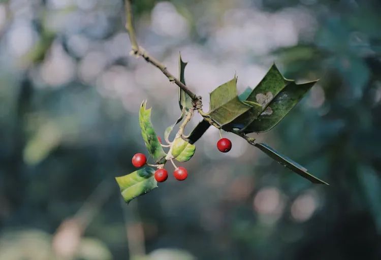 1680421455273083.jpg 2wkt2zgyxfrucra2w9bpls4i260af5hd086fs16305xti546g3oa3avu55xi3bjtnxt0hrcx924vn81c.jpg