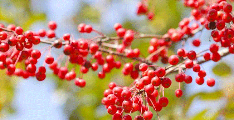 1680421474965294.png epgh80iufh0ogm9nl5s1ql7wmxpgoxje8poegjj9zqdatg3sbcqreixmm93ma4u2a8qeyzak2cc21f6z.png