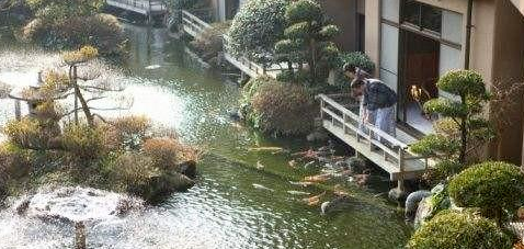 1680522129753463.jpg weixin_MTc1MzY2OTgzNDM=0.jpg