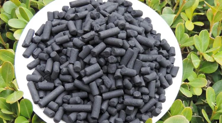 1680618680596757.jpg QQ图片20230404222706.jpg