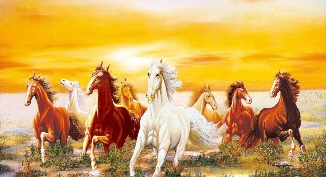 1680620067204724.jpeg d86kx4chh2lbrdvufygymnig4m740h1sewijgocvjr1a1fmtb7tiyre9vcj1mb3762wemiq42175dohv.jpeg