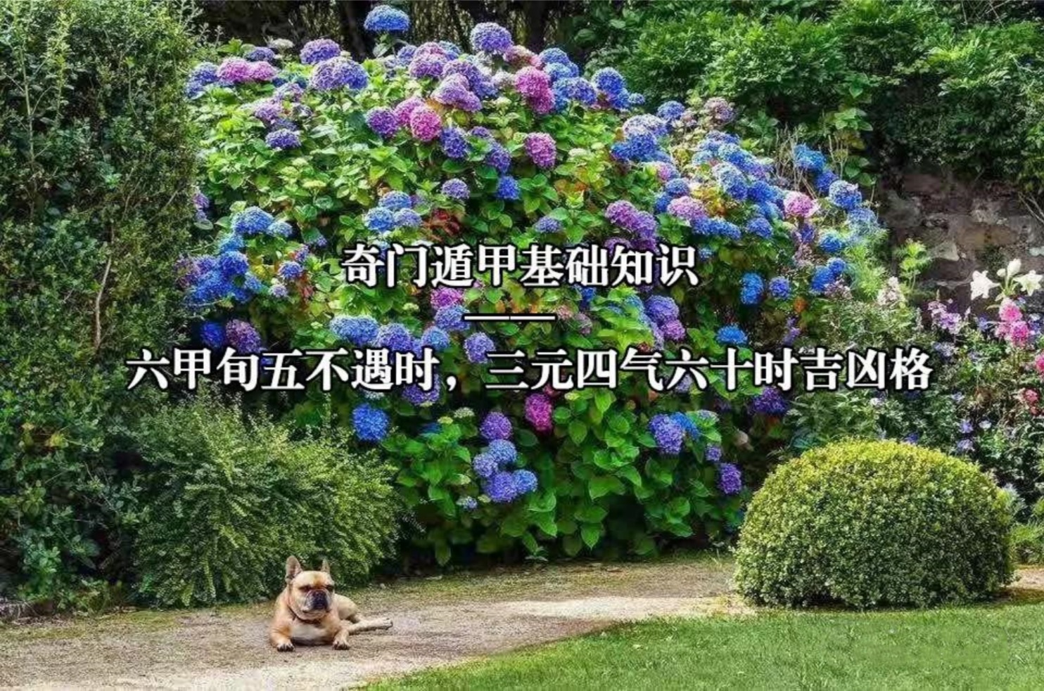 1681107055697284.jpg 1681107055697284.jpg