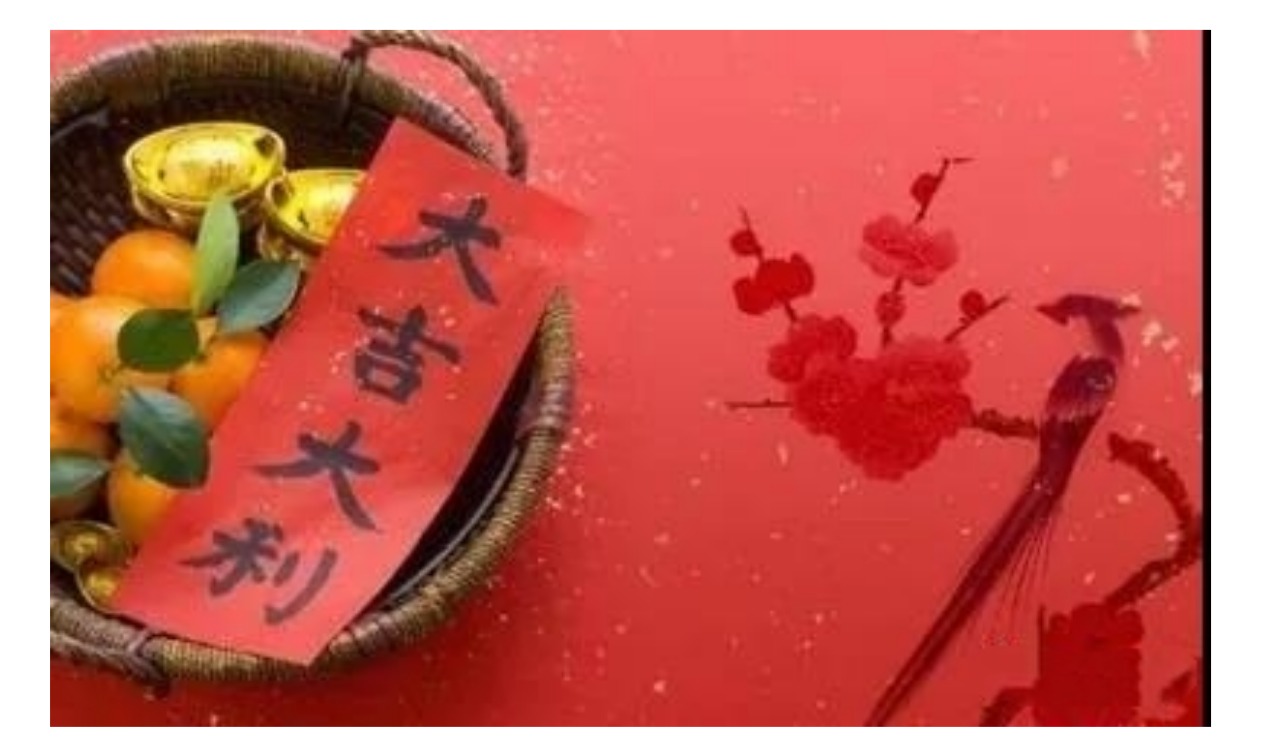 1681139415629203.jpg 1681139415629203.jpg